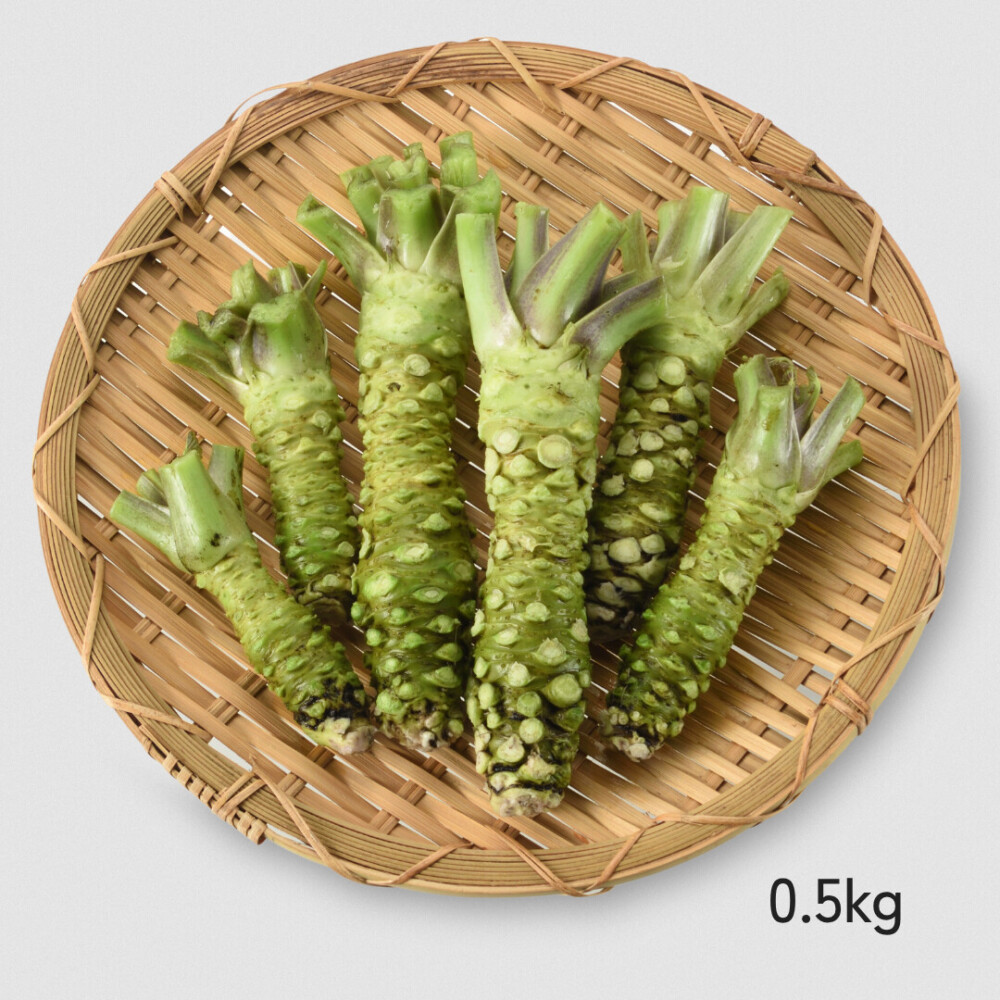 生わさびの芋（真妻種）フリーサイズ 0.5kg