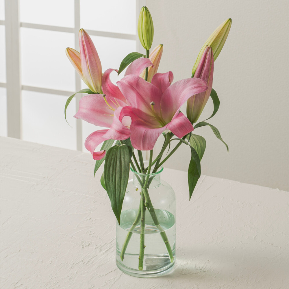 オリエンタルユリ ピンク3本