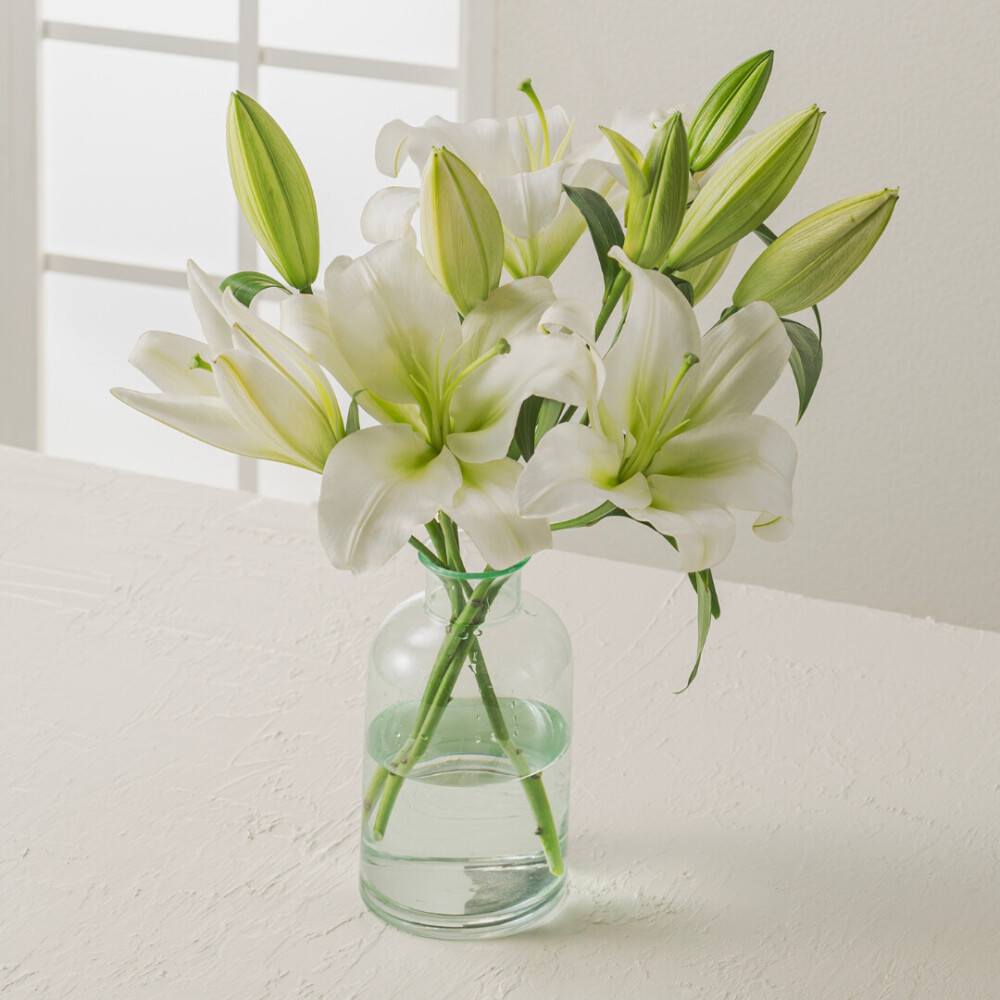 オリエンタルユリ ホワイト3本