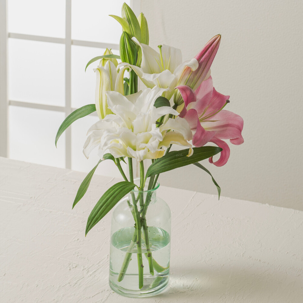 オリエンタルユリ・八重ユリ ミックス3本