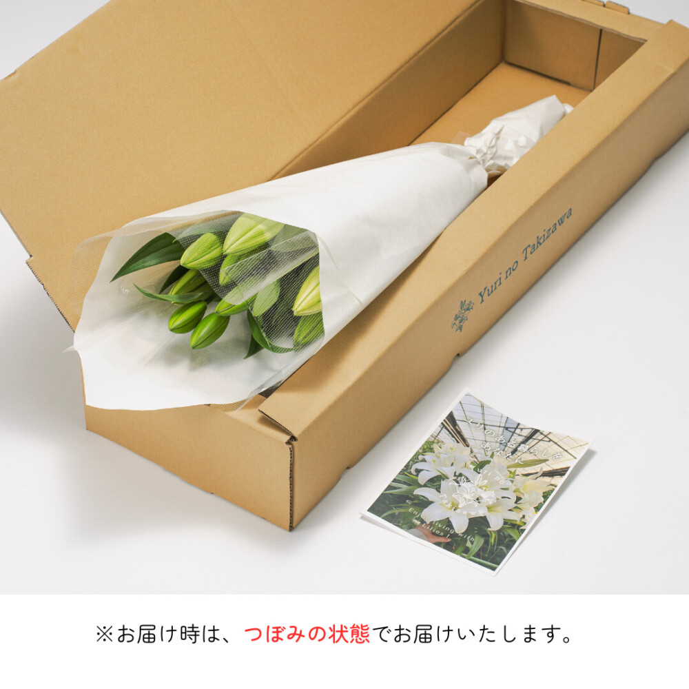 オリエンタルユリ ホワイト3本