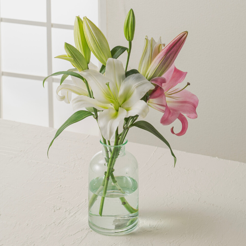 オリエンタルユリ ミックス3本