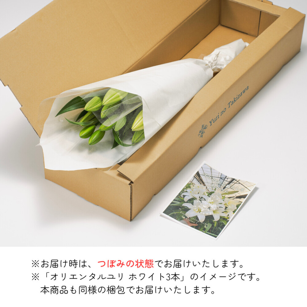 オリエンタルユリ ミックス3本
